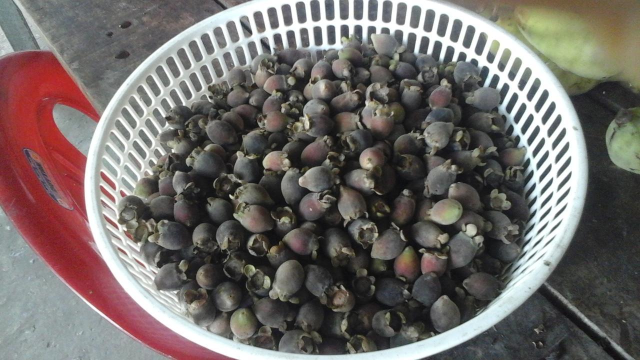 Pepper Farm Phu Quoc Hotel Exterior foto