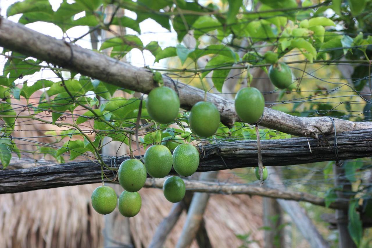 Pepper Farm Phu Quoc Hotel Exterior foto